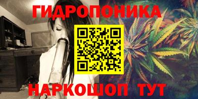Альфа ПВП Аргун