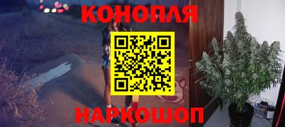 сатива Апшеронск